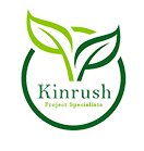 Kinrush Google Domains